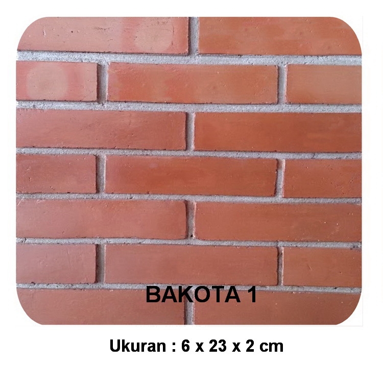 BAKOTA 1