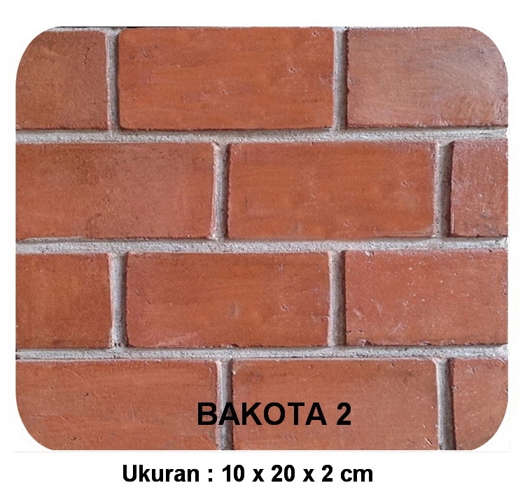 BAKOTA 2